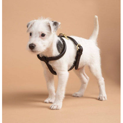 Shires Digby Rolled Leather Harness