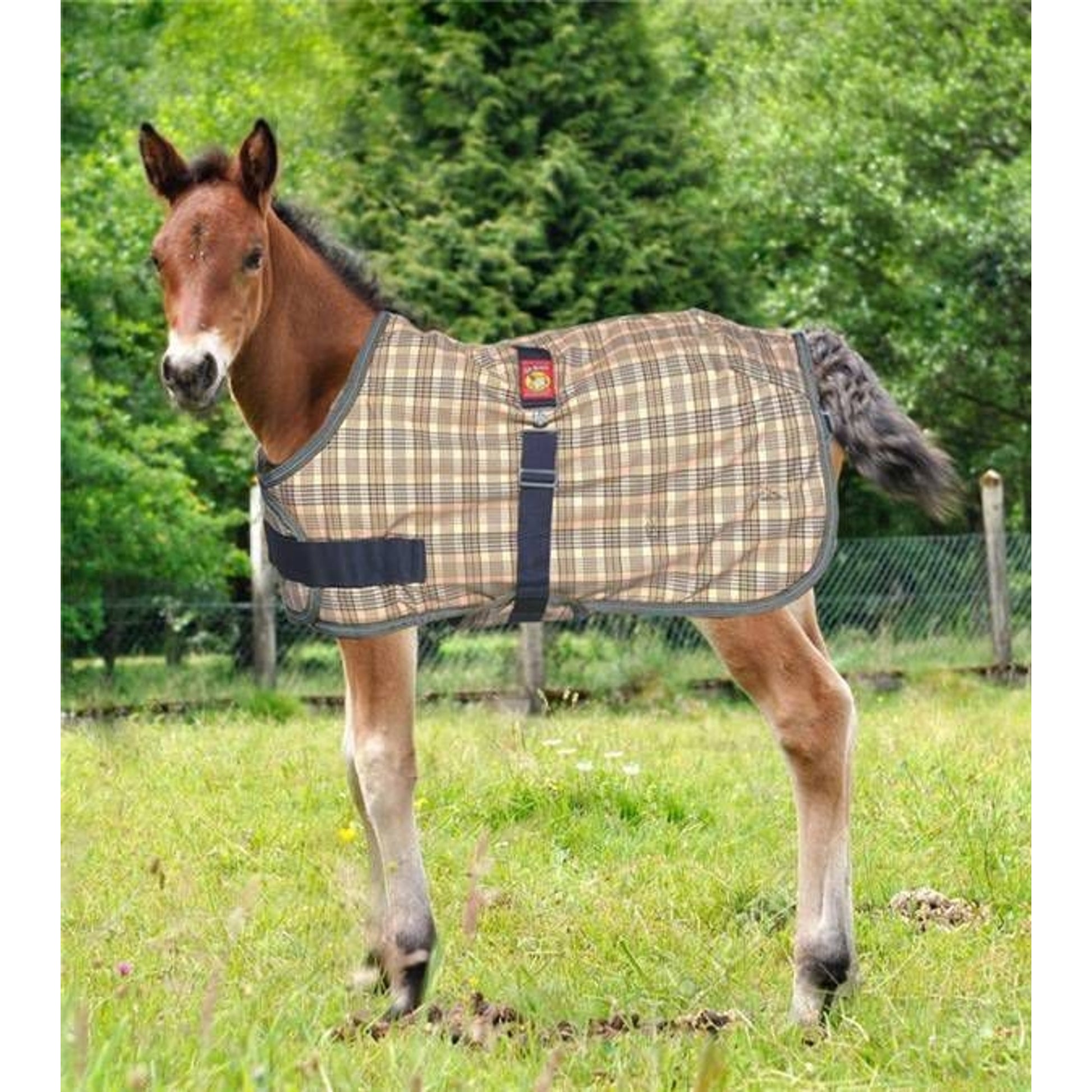 Baker Expand-O-Blanket Turnout for Foal & Pony Lar