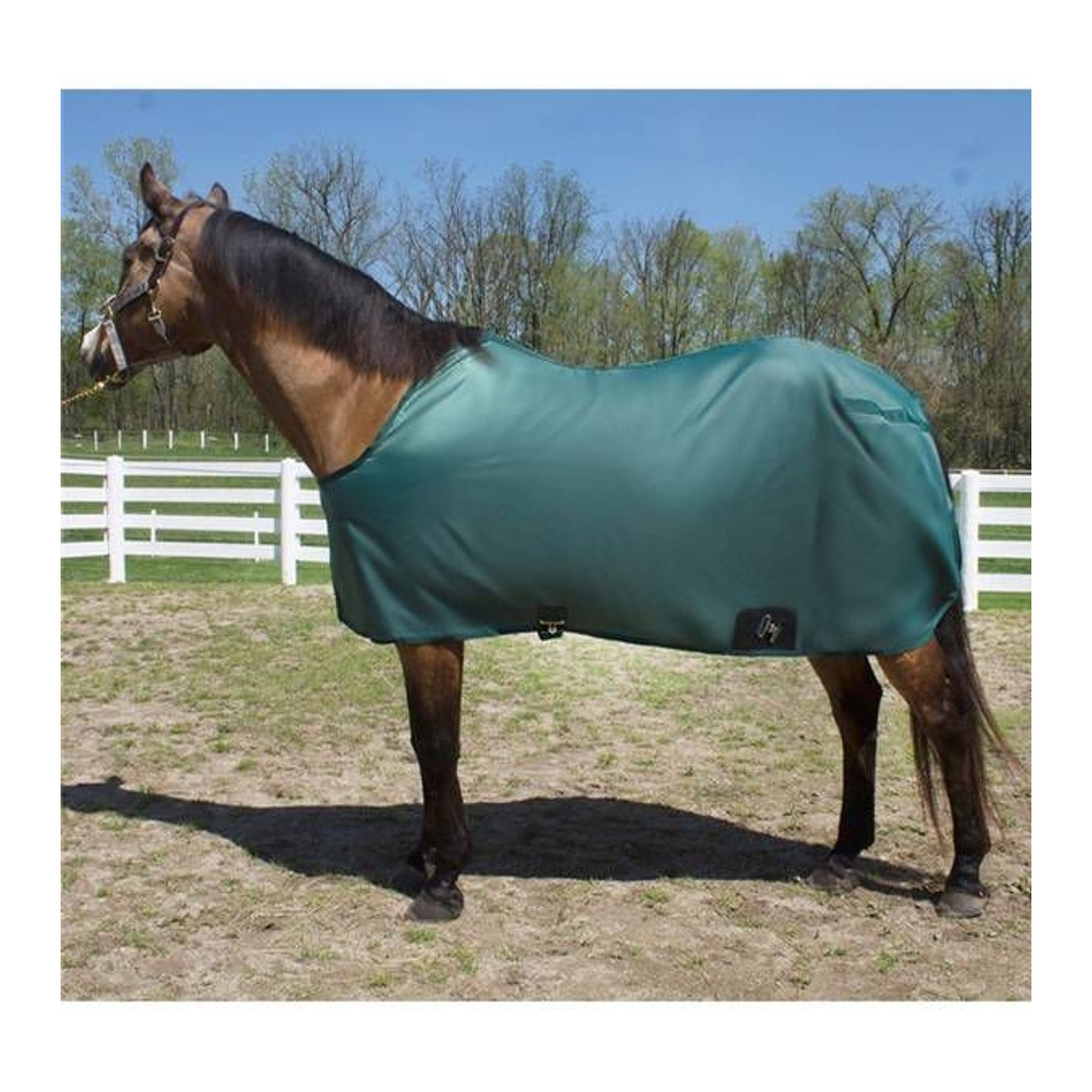 Jacks Nylon Closed Front Stable Sheet 78 Forest