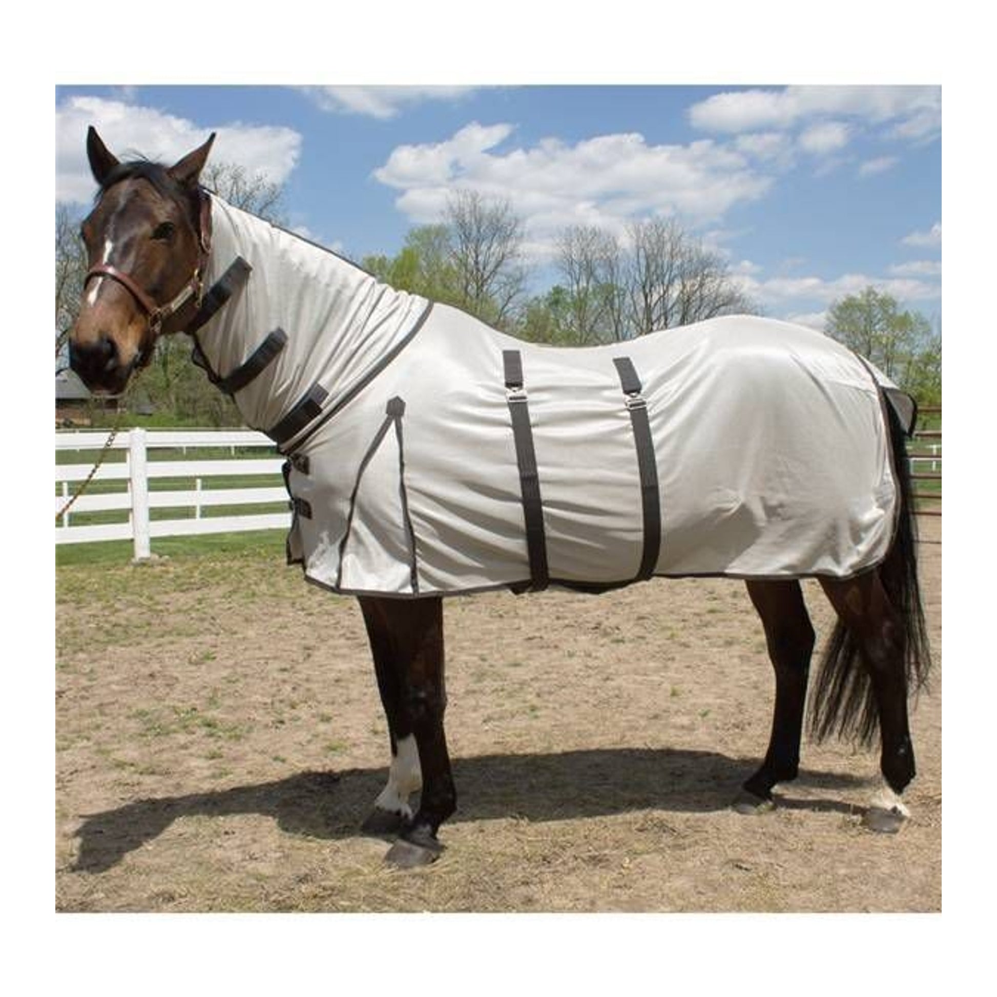 Jacks Shoobugs Fly Sheet 76 White