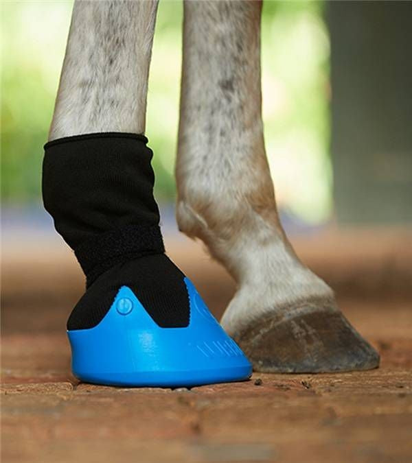 Tubbease Hoof Sock Large Royal