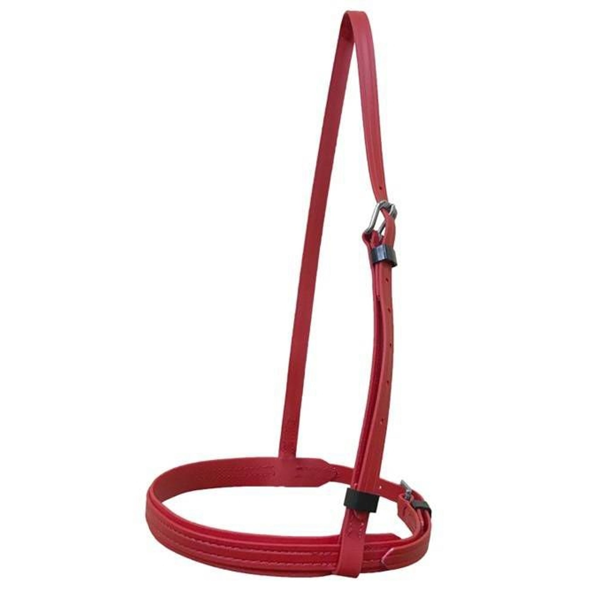 Jacks Thoroughbred Beta Caveson Purple