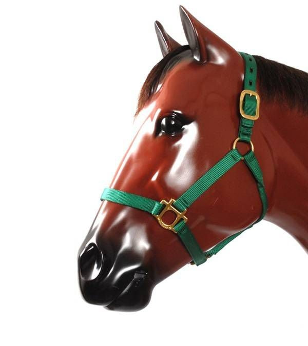Valhoma "T" Halter Large (1100-1500 lbs) Burgundy