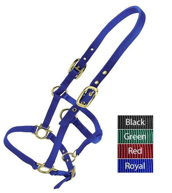 Valhoma Weanling Halter