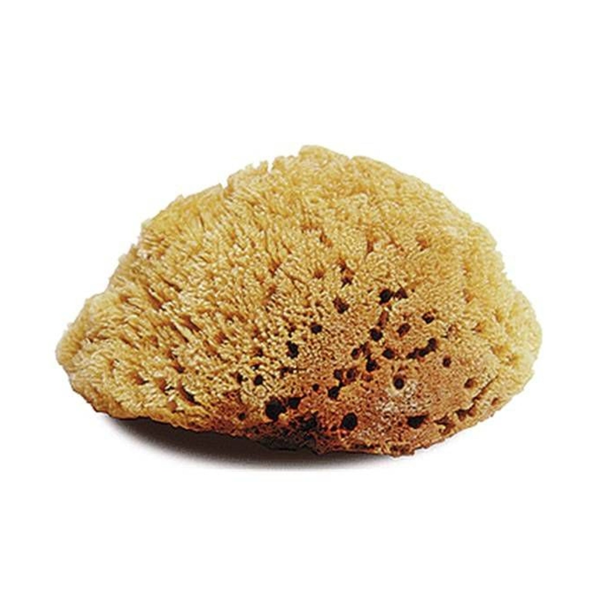Jacks Natural Large Body Sponge 6" x 5"