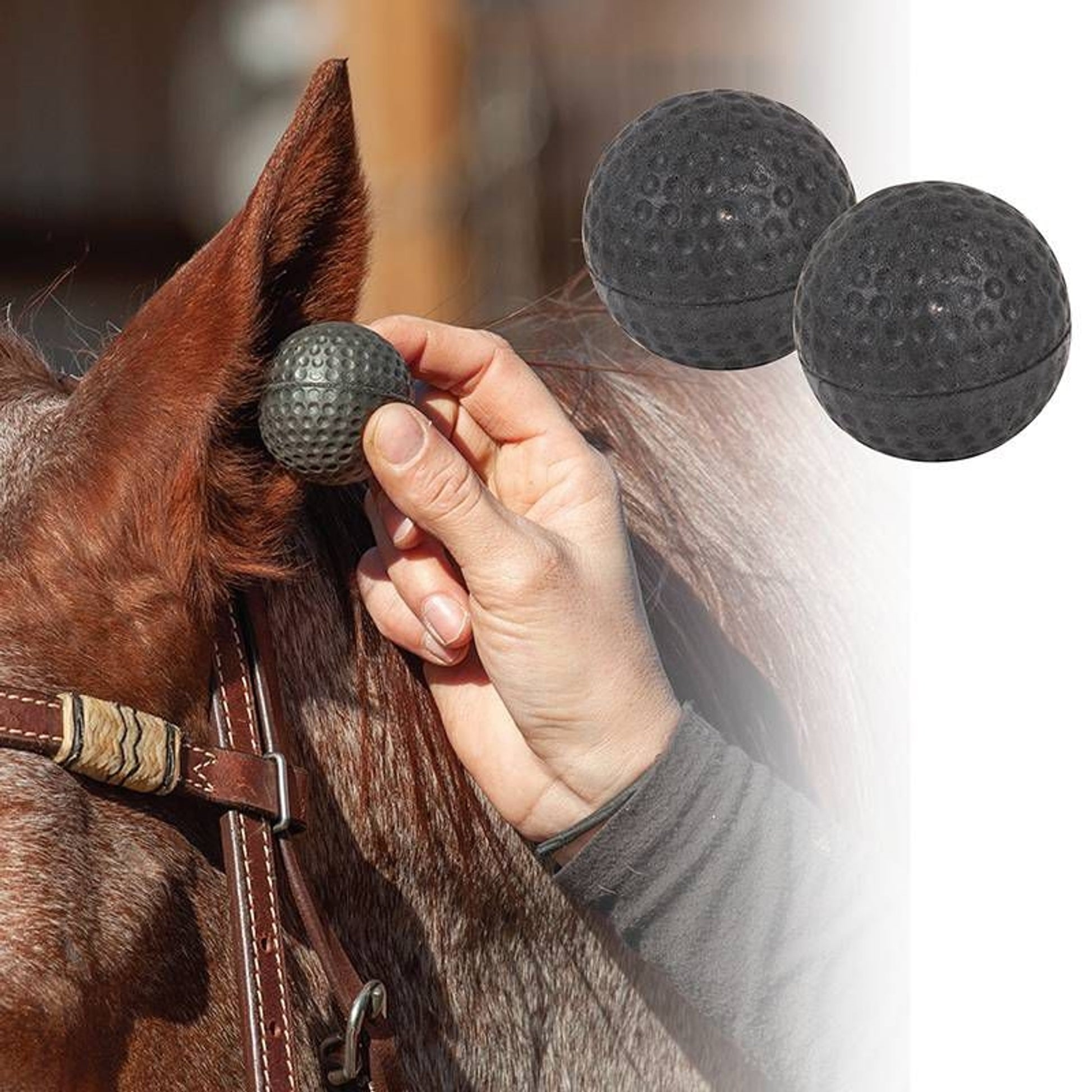 Horse Ear Plugs Large Black