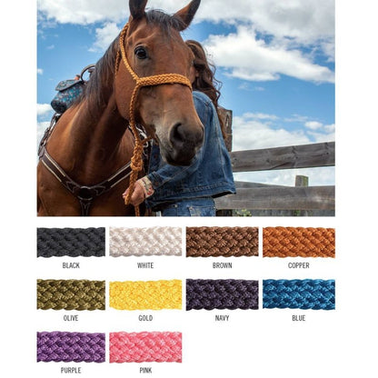 Cashel Flat Braid Halter with 9 Ft Lead Black