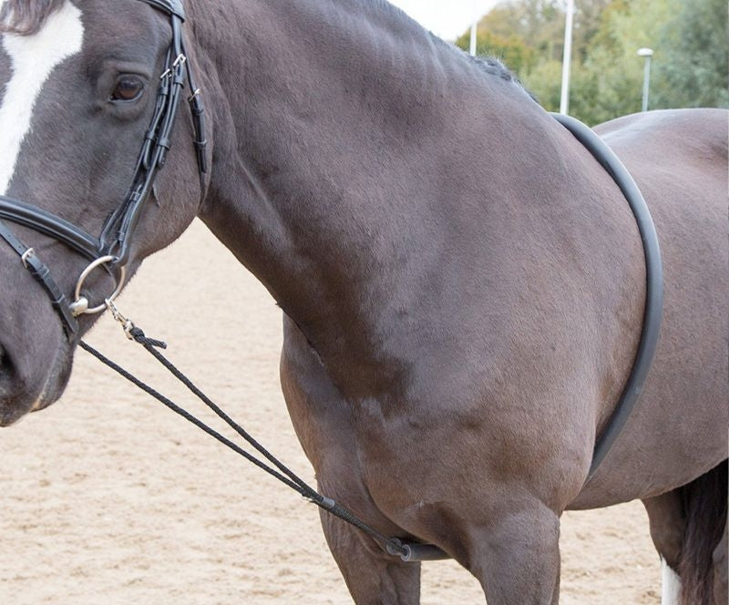 Shires Soft Lunging Aid One Size Black