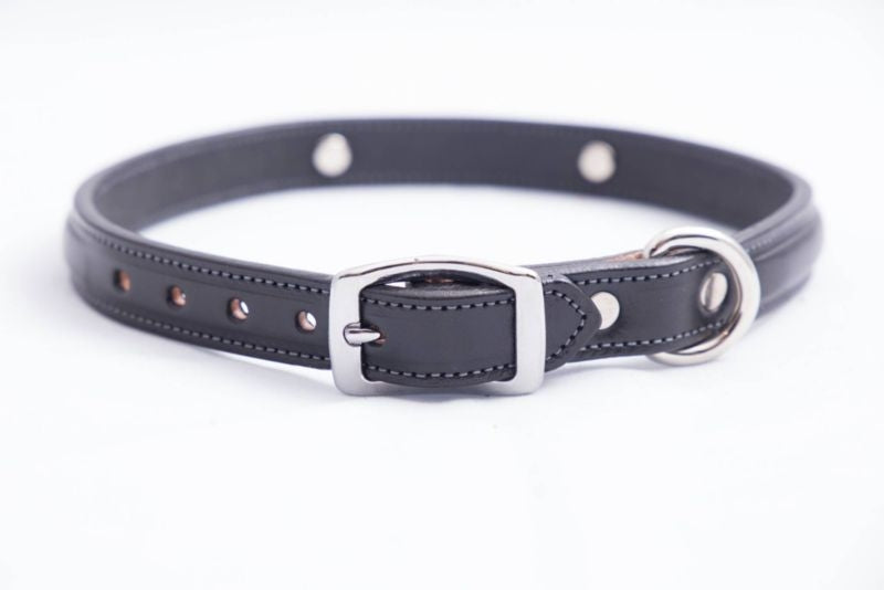 Tory Leather Raised Dog Collar with Nickel Bit 18"