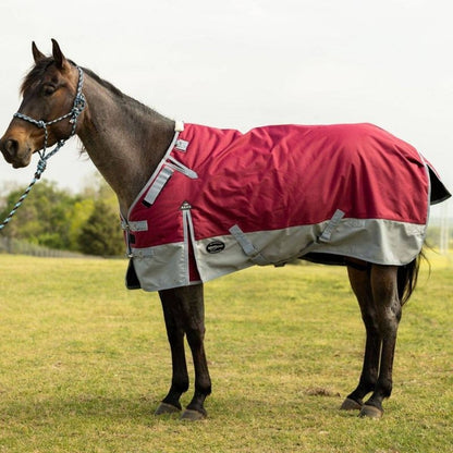 Reinsman Premium Winter Blanket 300G