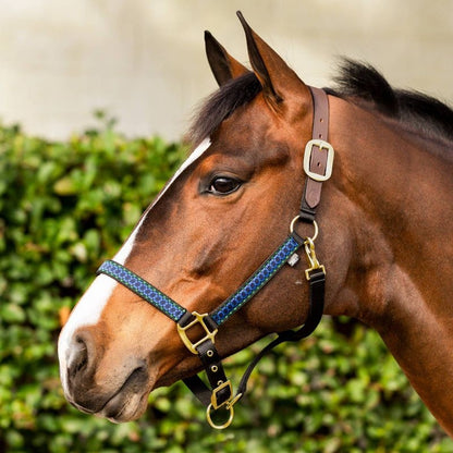 Equinavia Ribbon Break Halter