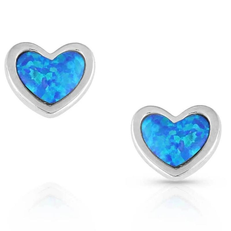 Montana Silversmiths Hidden Lake Glacial Pools Ear