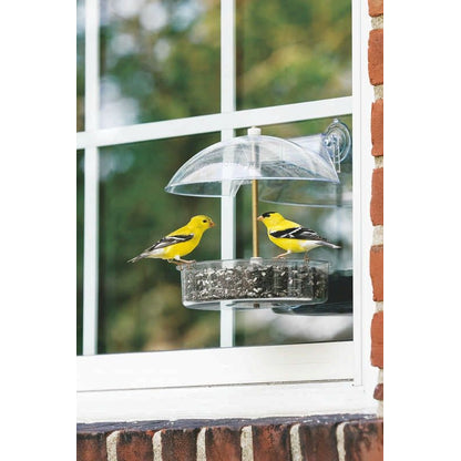 Droll Yankees Winner Window Feeder