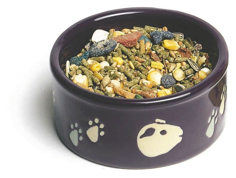 Pawprint Petware Dish 4 x 5.25 x 5.75 Assorted