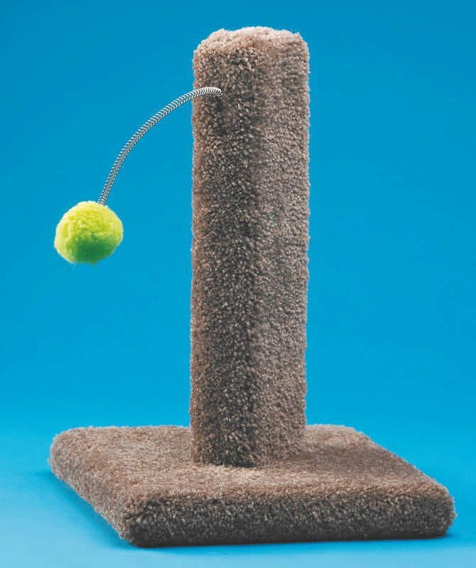 Scratchers and Furniture