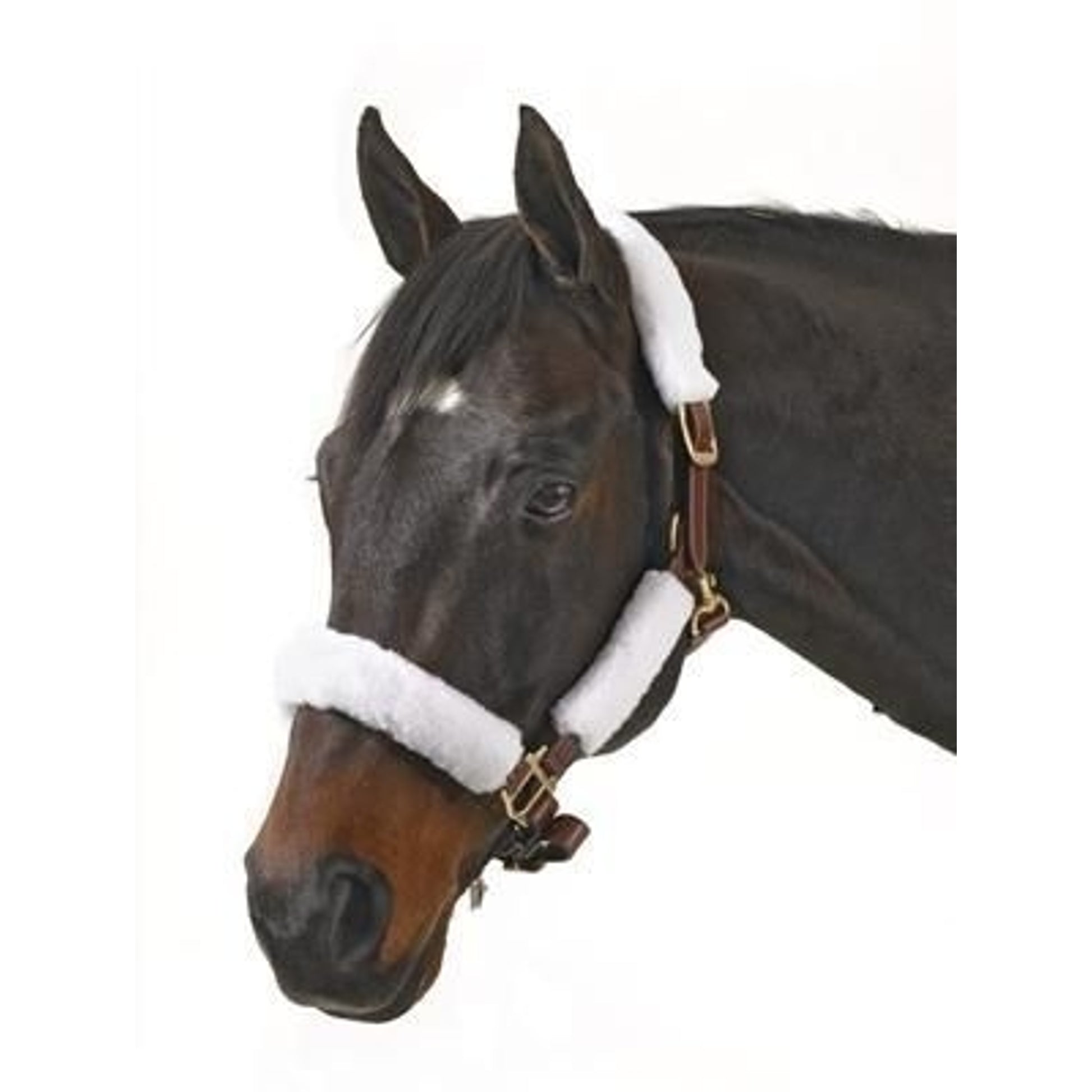 Centaur Fleece Halter Tube Kit W-VelcroBrn