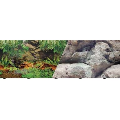 Blue Ribbon Rainforest Aquarium Background