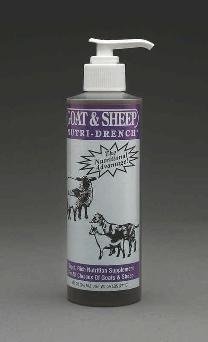 Sheep Nutri-Drench