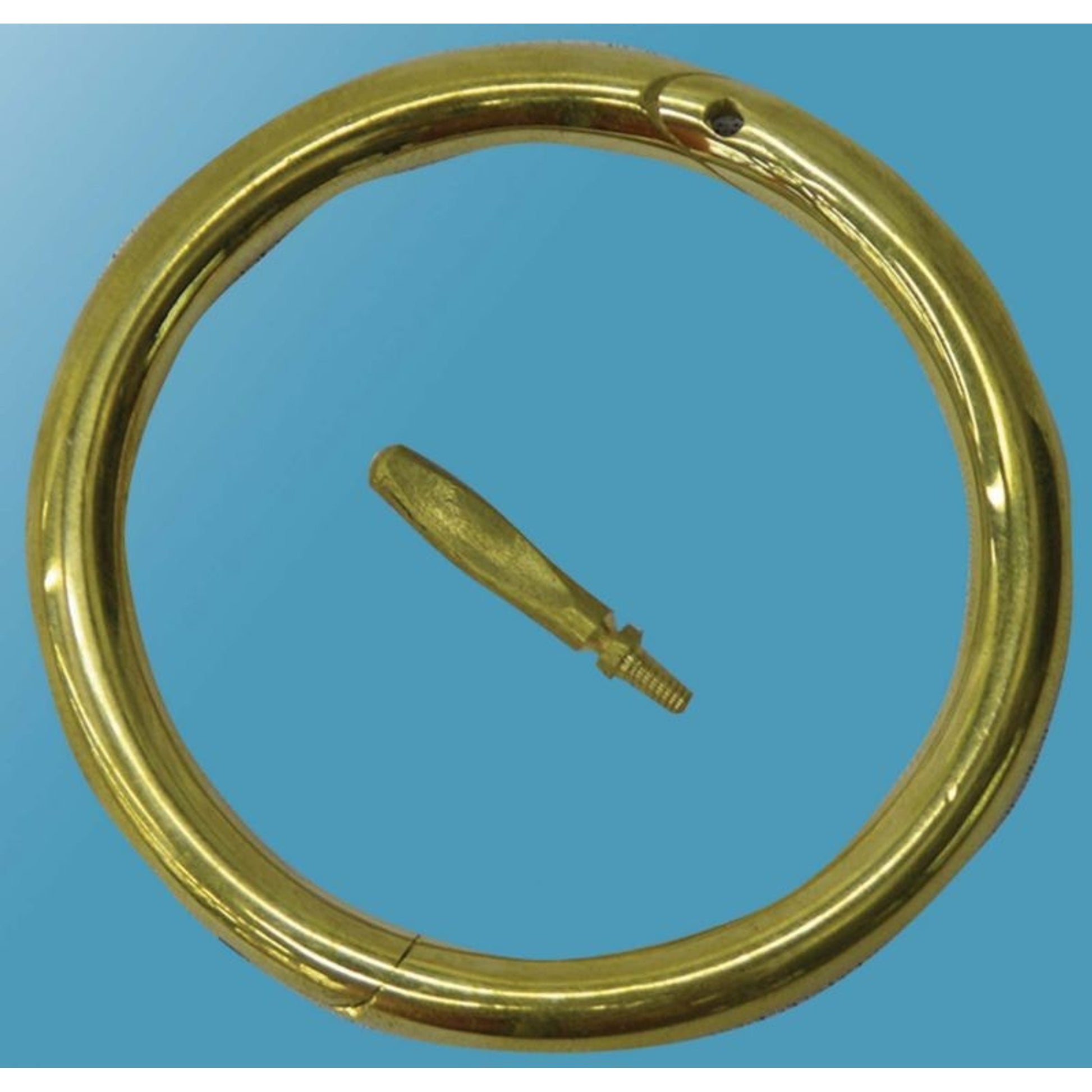 Bull Ring 3 Inch