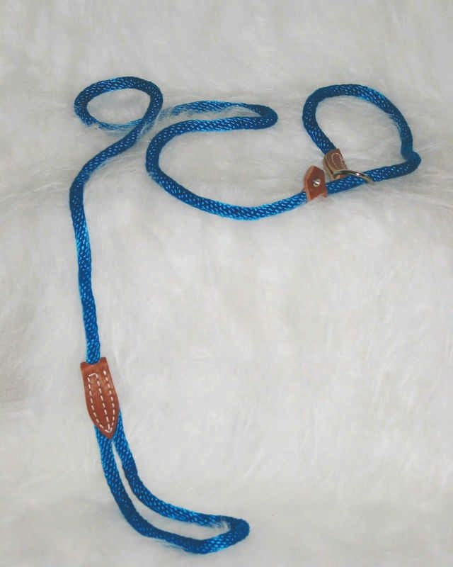 Polyrope Dog Quick Lead Combo 3/8 X6 Blue