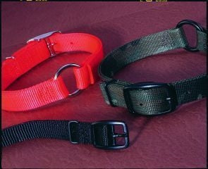 Safe-Rite Dog Collar With Tape 1 X22 Orange