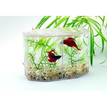 Lees Dual Betta Hex Tank