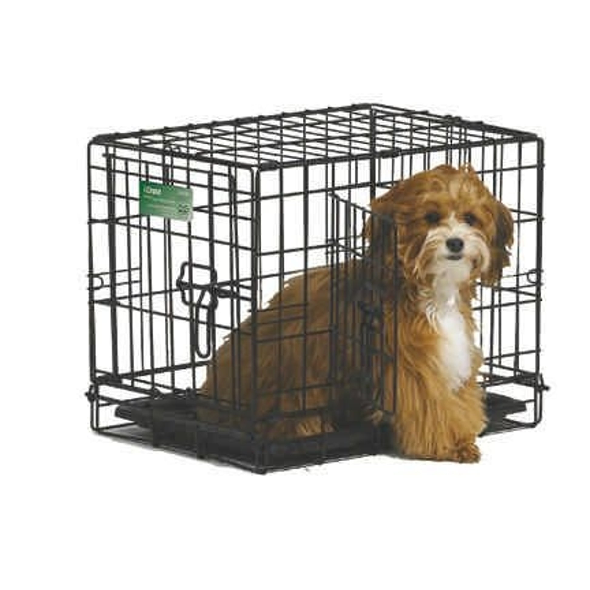 I-Crate For Dogs Double Door 18 In/Double Black
