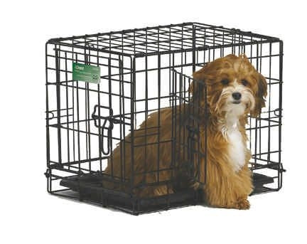 I-Crate For Dogs Double Door 18 In/Double Black