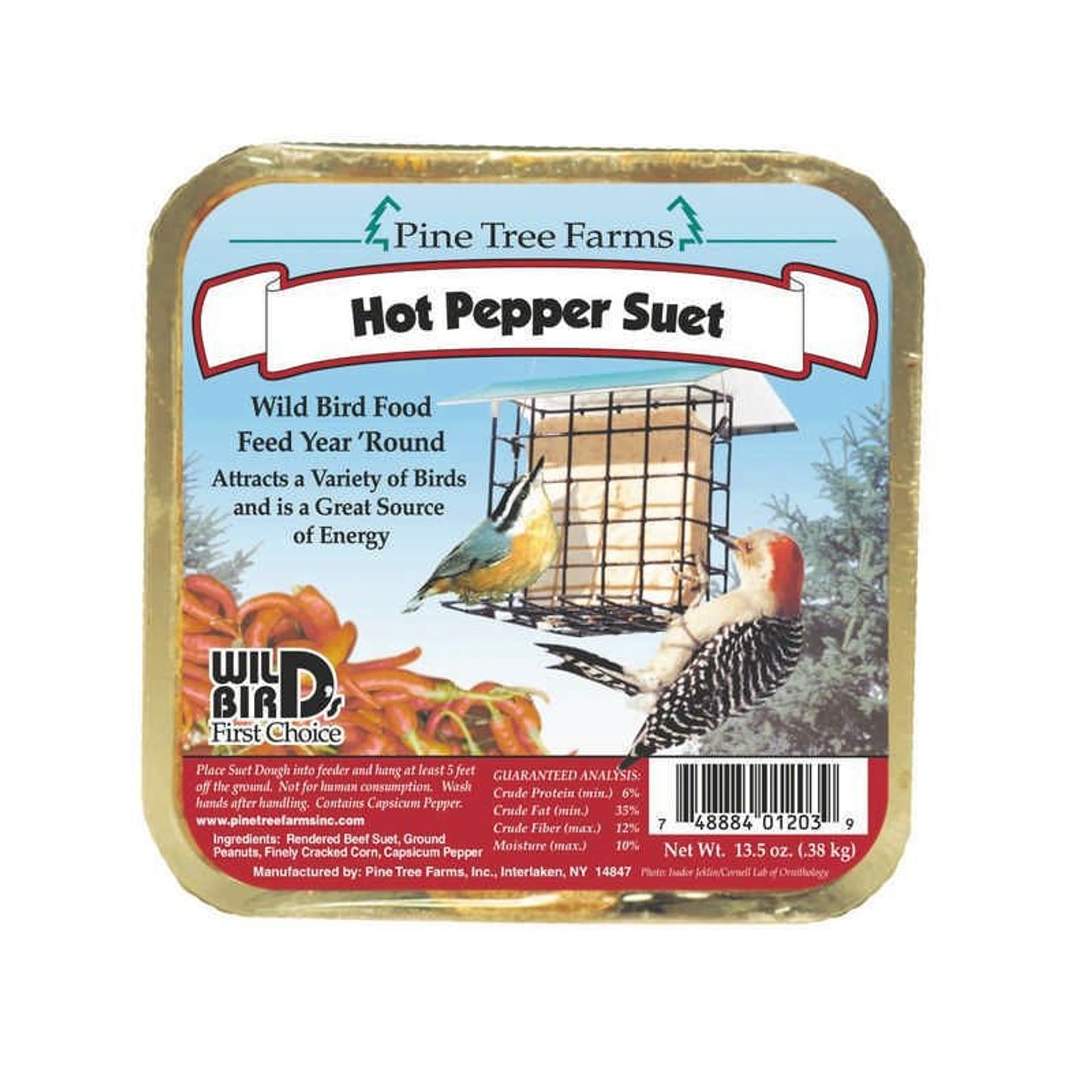 TH311851.jpg