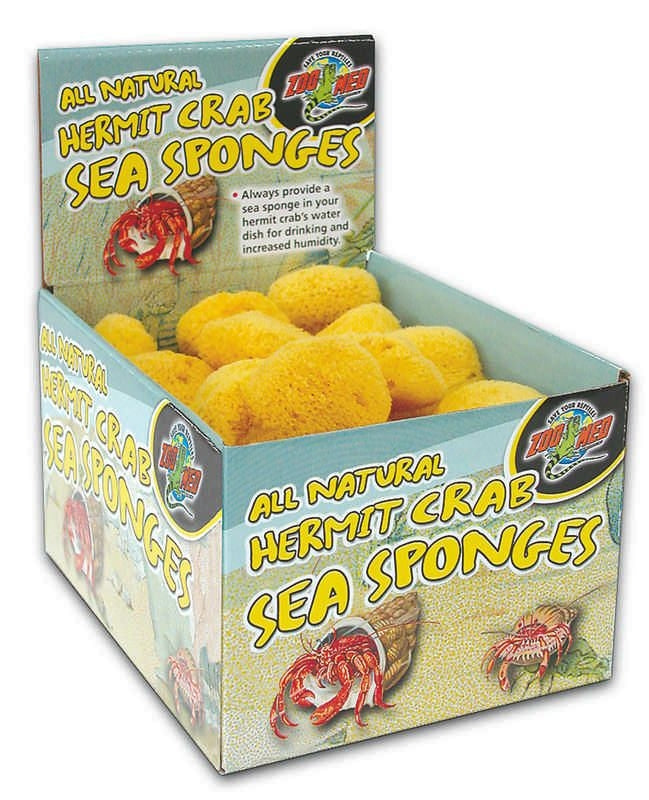 Hermit Crab Sponge 36 piece Natural