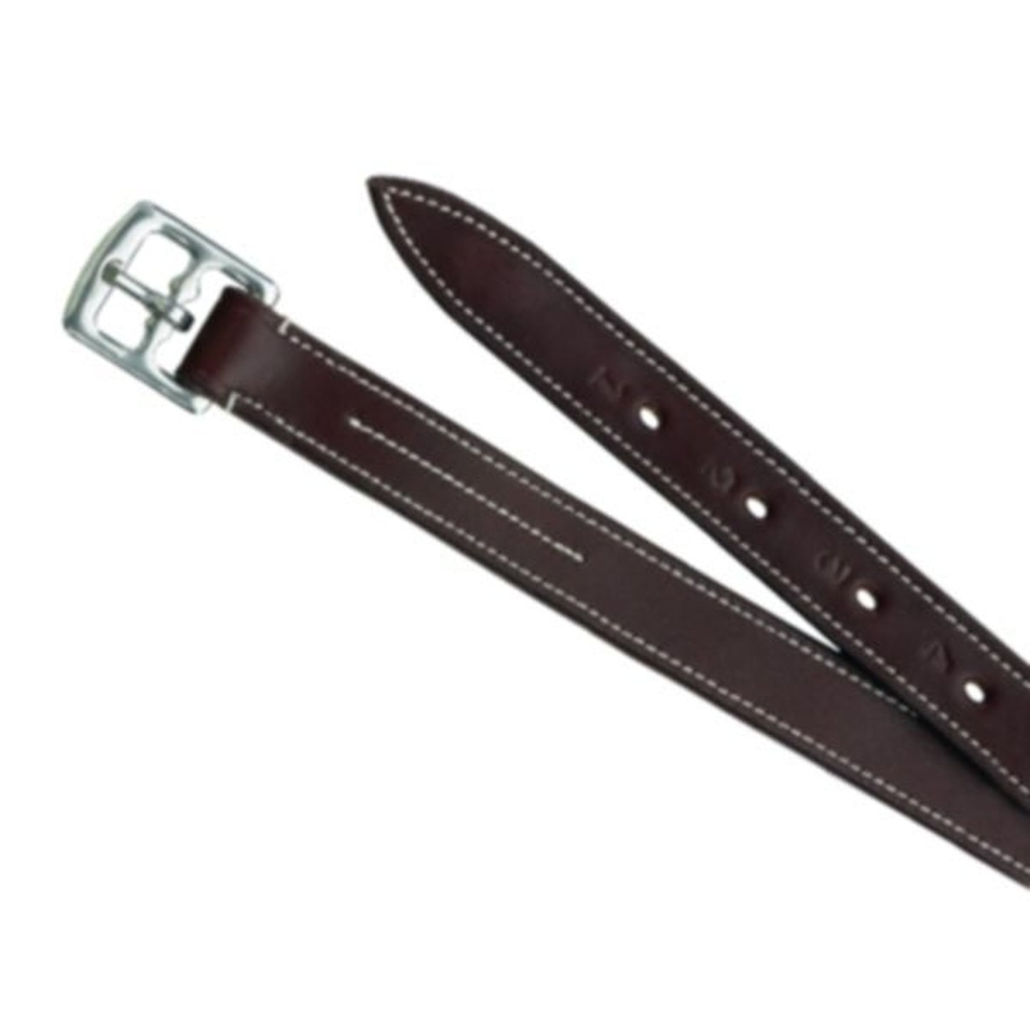 TH342106.jpg