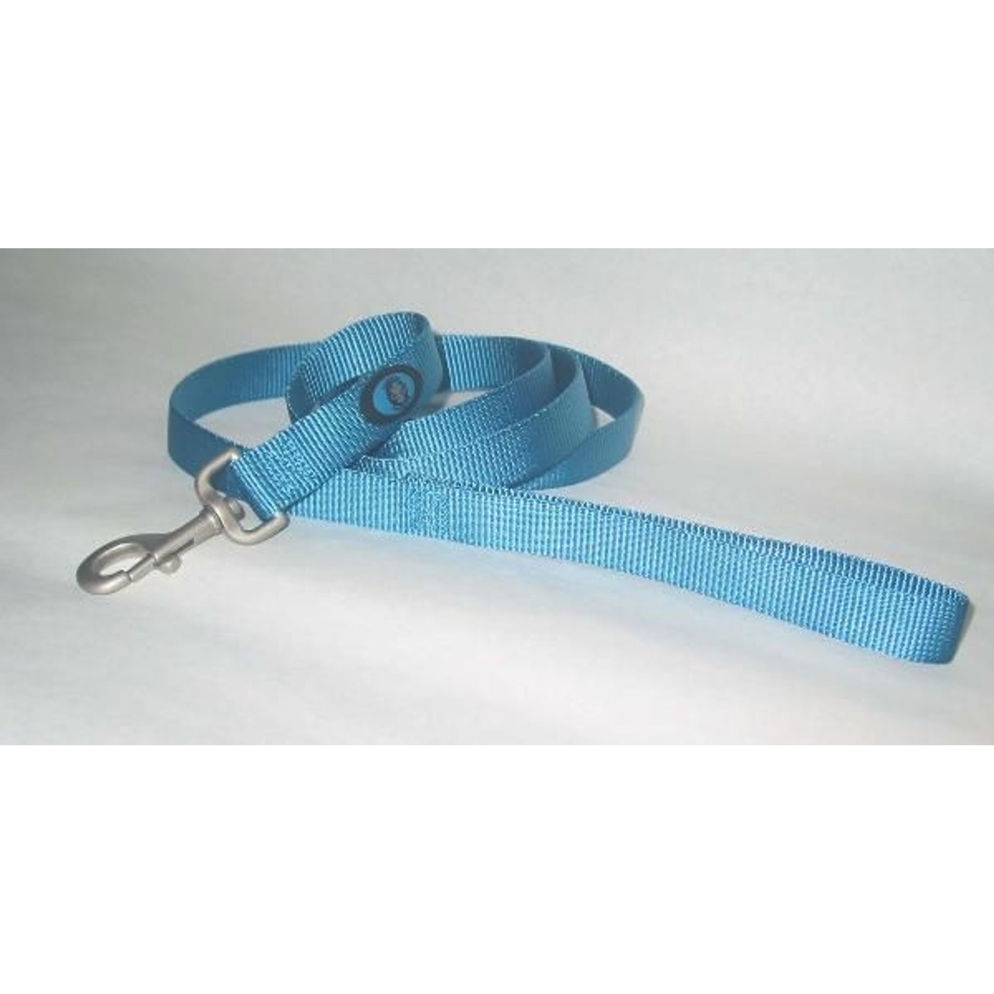 Hamilton 1 Durable Nylon Dog Lead Leash 4ft Ocean