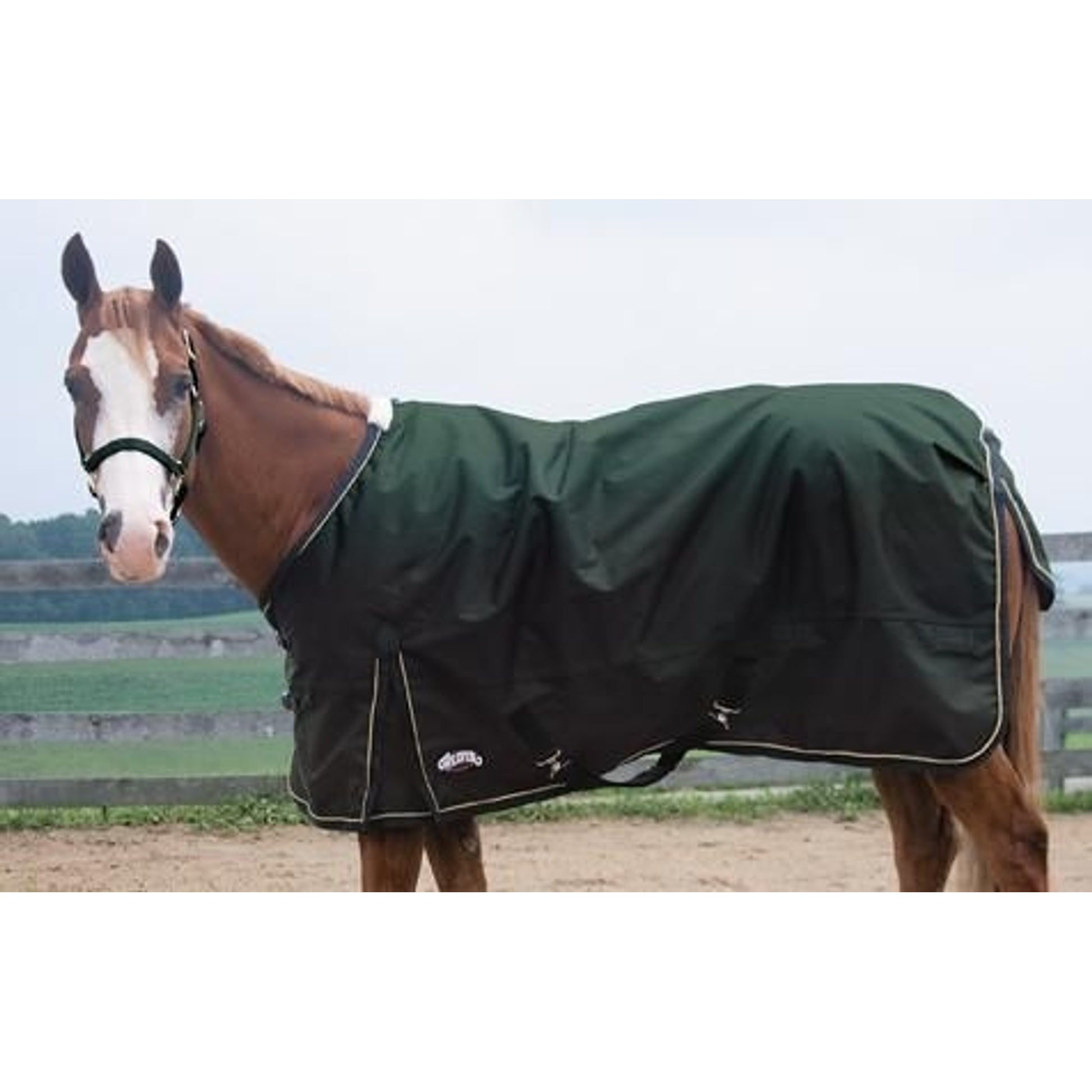 600D Ripstop Waterproof T/O Blanket