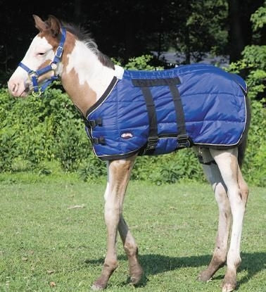 Weaver 420D Foal Stable Blanket 39 Black