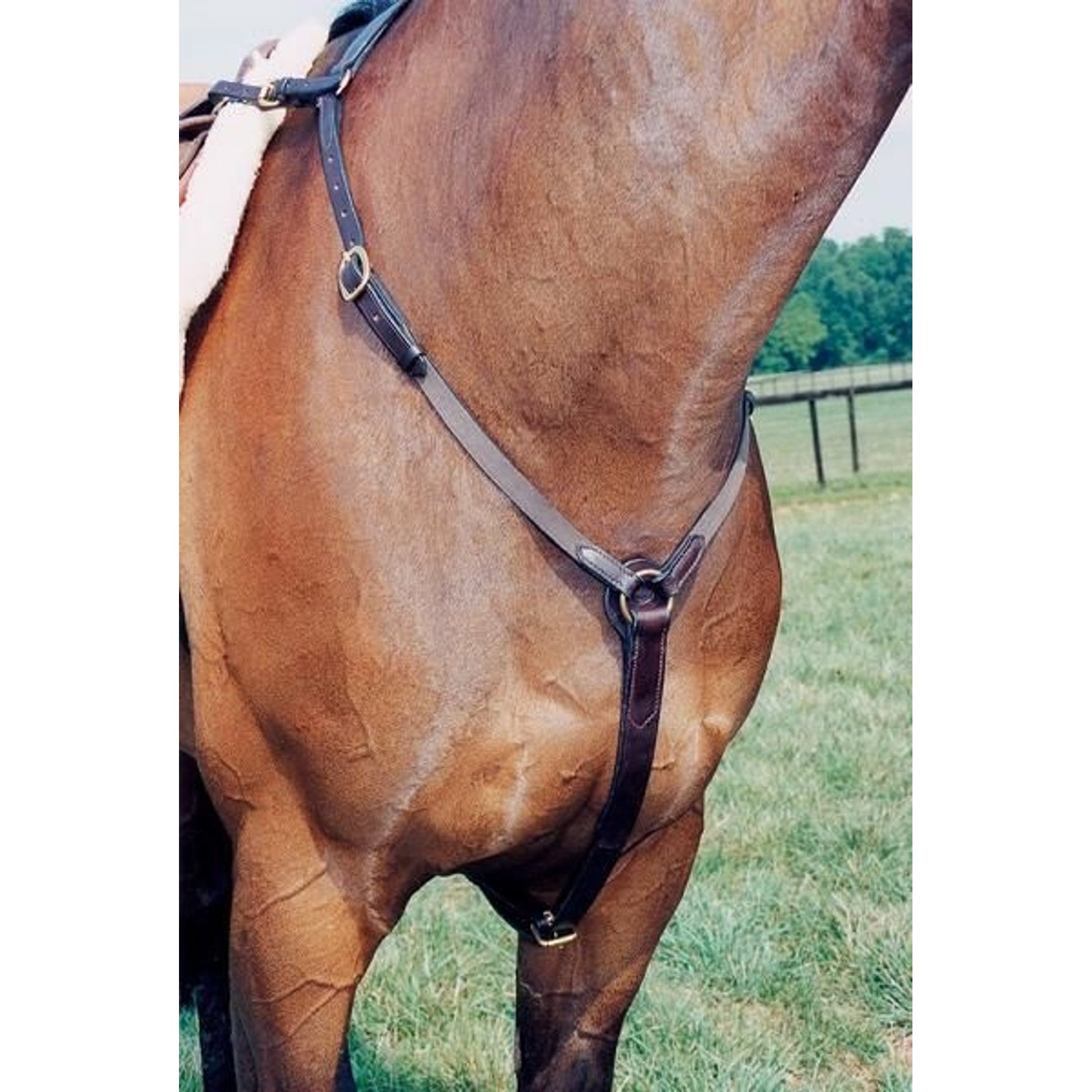 Nunn Finer Hunting Breastplate Elastic Cob Blk/Brs