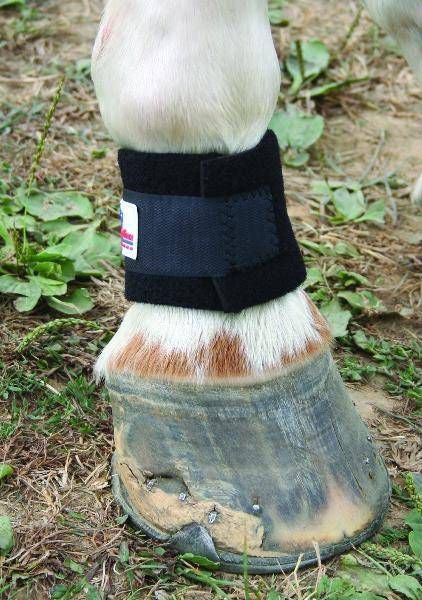 Nunn Finer Pastern Band Blk