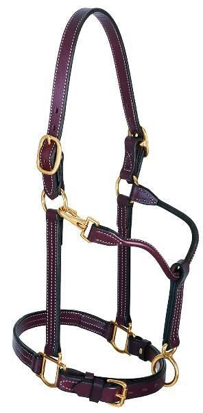 Weaver 1in Leather Track Halter