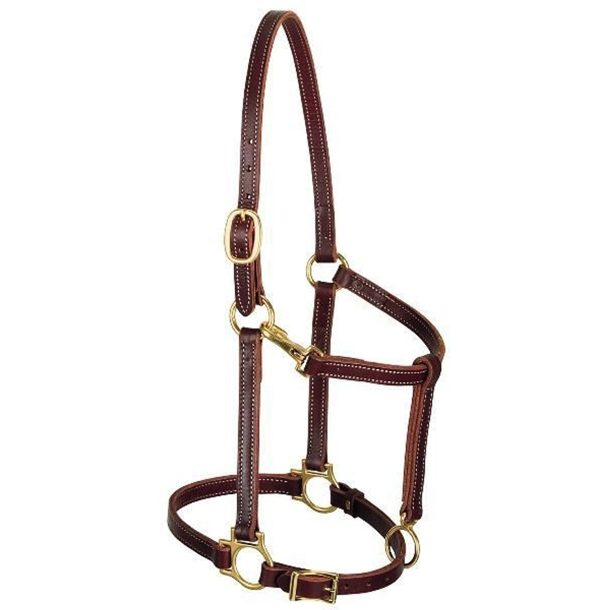 Weaver Track Halter Horse