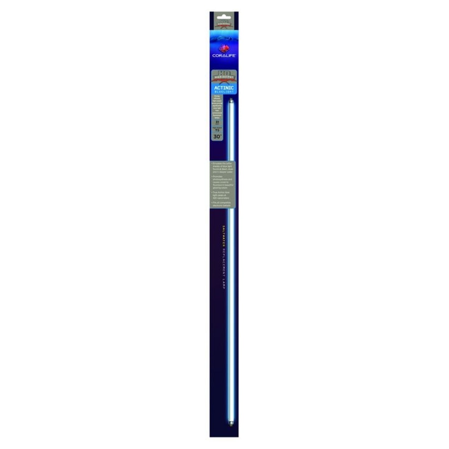 TH564521.jpg