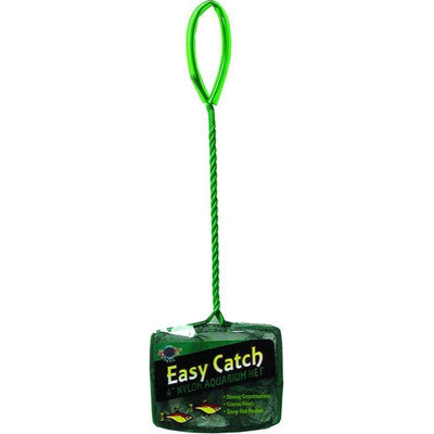 TH568353.jpg