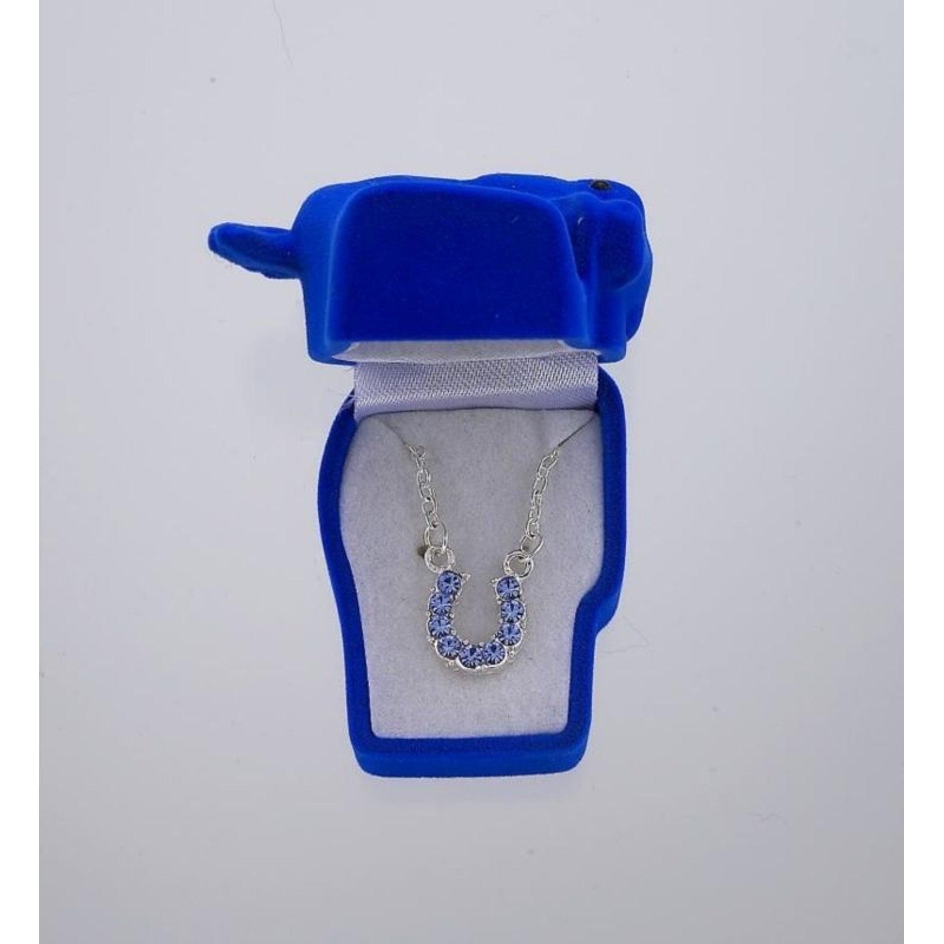 Horseshoe Necklace with Crystals