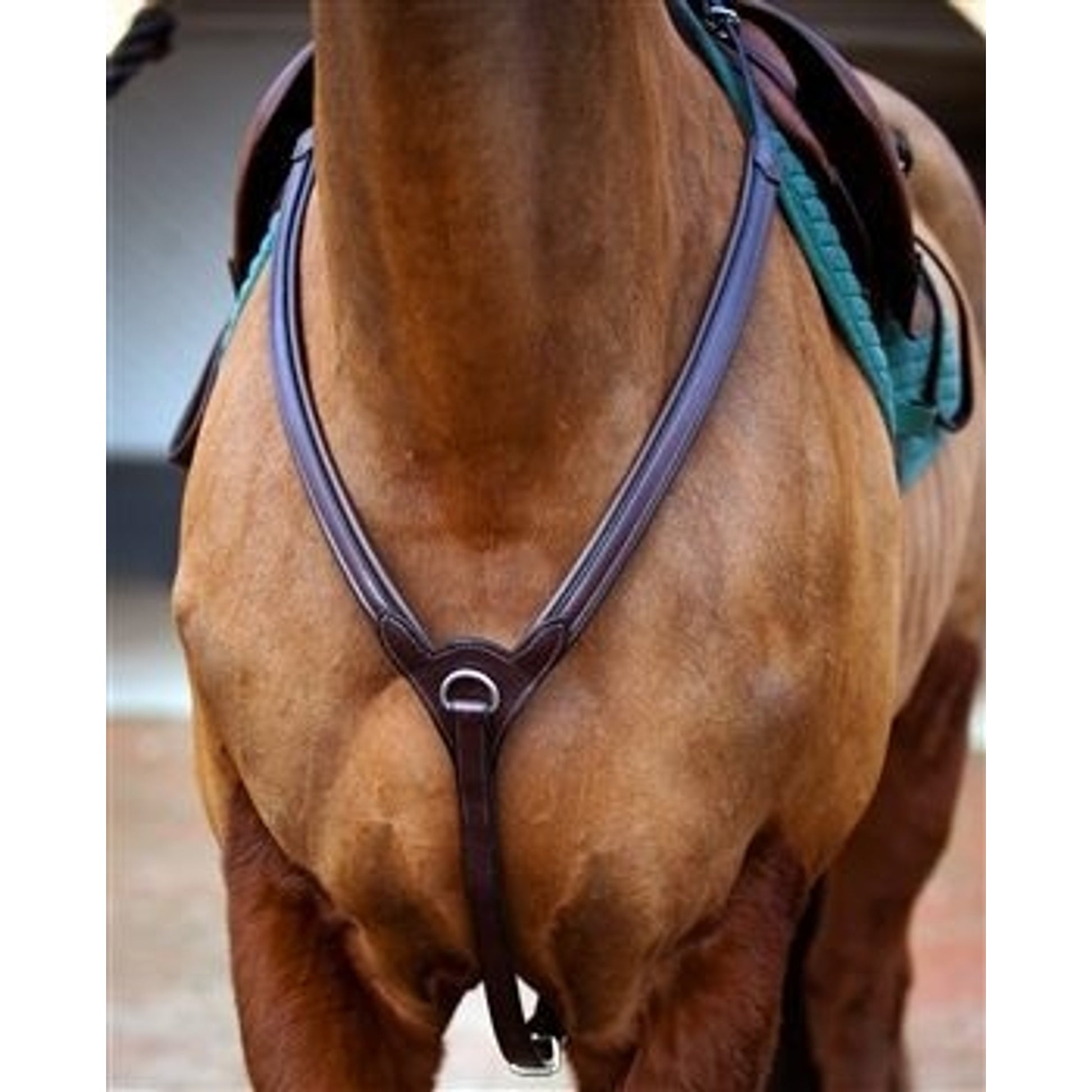 Nunn Fer Upperville Breastplate Cob Black/Brass