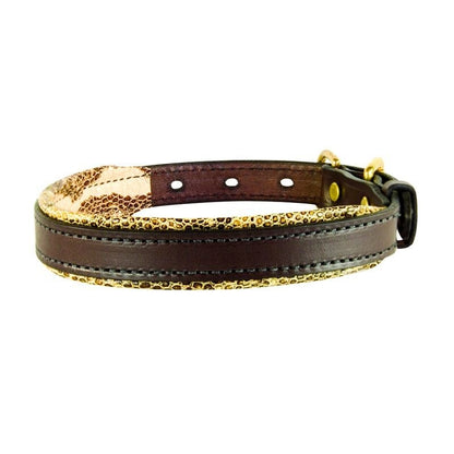 Perris Padded Leather Dog Collar