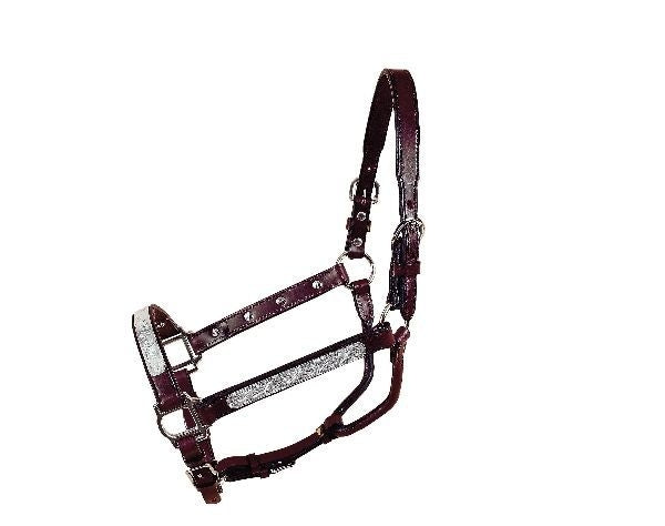 Straight Cheek Economy Show Halter Horse Blk