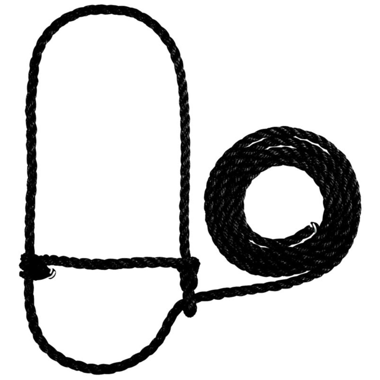 TH818605.jpg