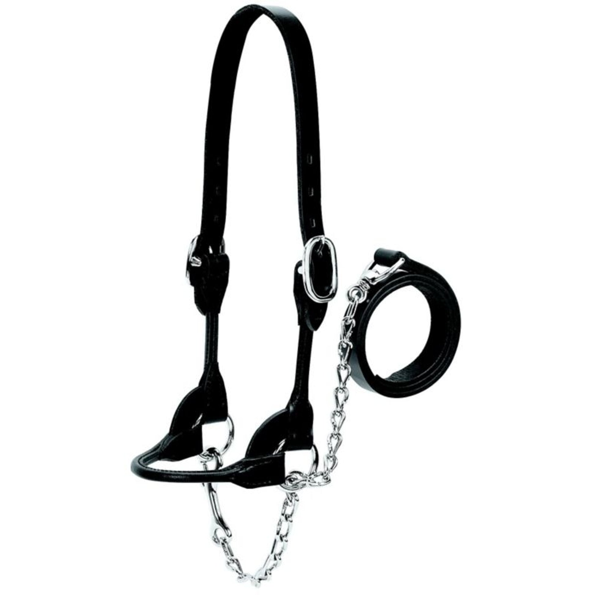 Weaver Leather Cattle Rounded Show Halter XL Blk