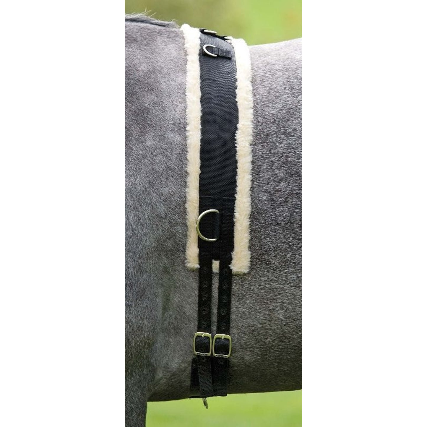 TH883652.jpg