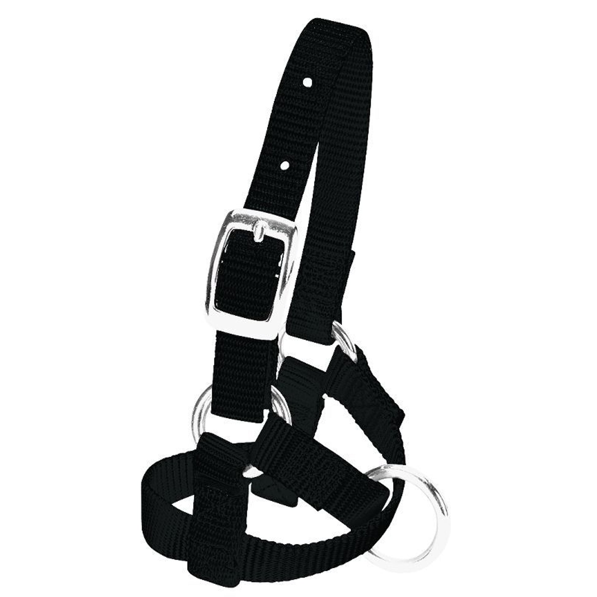 Weaver Leather Alpaca Halter