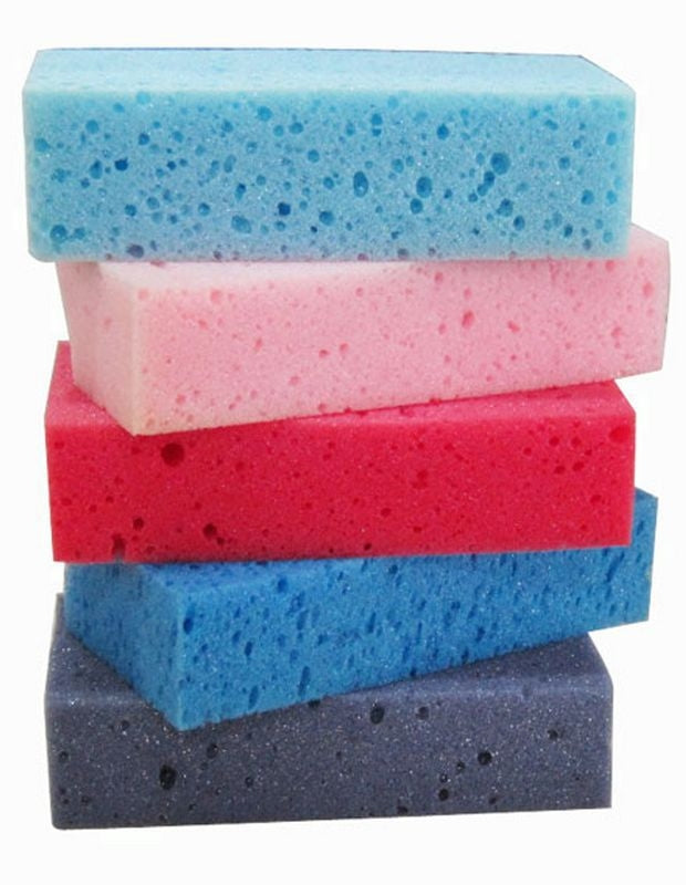 Grooming Sponges 1o Pk