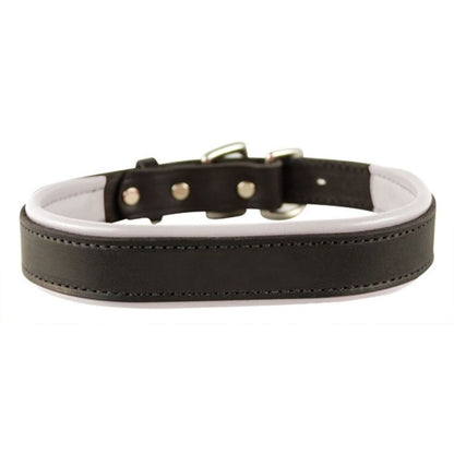 Perris Padded Leather Dog Collar